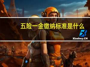 五险一金缴纳标准是什么