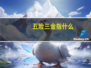 五险三金指什么
