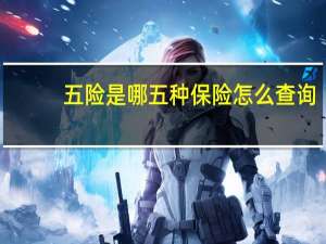 五险是哪五种保险怎么查询