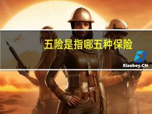 五险是指哪五种保险