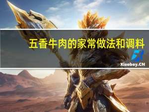 五香牛肉的家常做法和调料（五香牛肉的家常做法）