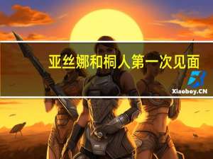 亚丝娜和桐人第一次见面（亚丝娜h）