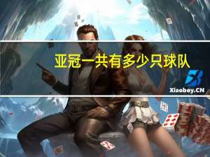亚冠一共有多少只球队,各个国家分别有哪几支球队 夺得亚冠的中国球队