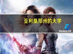 亚利桑那州的大学