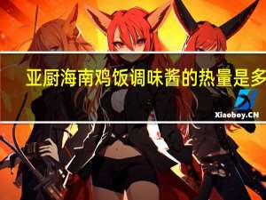 亚厨 海南鸡饭调味酱的热量是多少
