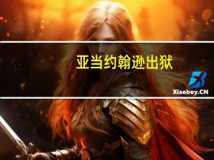 亚当约翰逊出狱（亚当约翰逊）