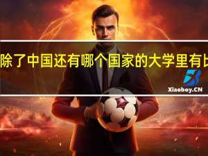 亚洲国家里除了中国还有哪个国家的大学里有比较好的考古专业