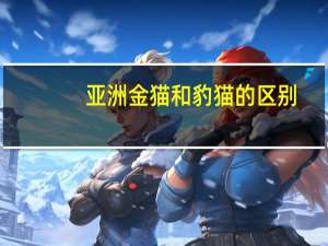 亚洲金猫和豹猫的区别