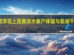 亚马孙河浮现上百具淡水豚尸体疑与极端干旱和高温有关