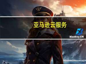 亚马逊云服务(AWS)CEO：亚马逊继续开发专有的人工智能工具