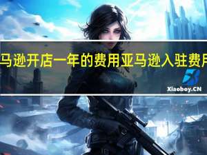 亚马逊开店一年的费用 亚马逊入驻费用及条件