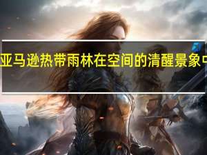 亚马逊热带雨林在空间的清醒景象中肆虐