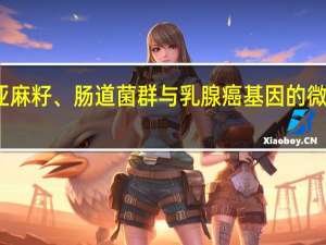 亚麻籽、肠道菌群与乳腺癌基因的微妙交织