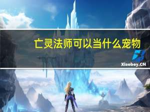 亡灵法师可以当什么宠物