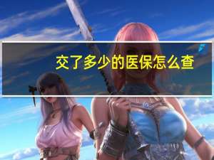 交了多少的医保怎么查