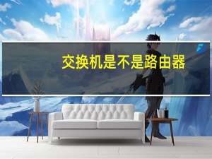 交换机是不是路由器（猫是不是路由器）