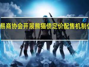 交易商协会开展熊猫债定价配售机制优化试点