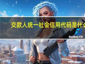 交款人统一社会信用代码是什么