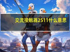 交流接触器2511什么意思