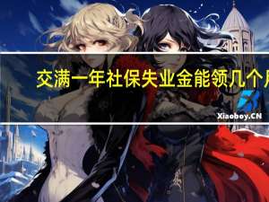 交满一年社保失业金能领几个月（缴满一年社保失业金可以领几个月）