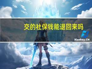 交的社保钱能退回来吗