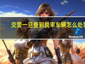 交警一旦查到脱审车辆怎么处罚