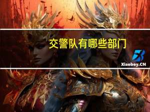 交警队有哪些部门