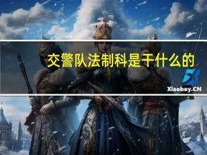 交警队法制科是干什么的