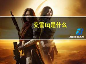 交警tq是什么
