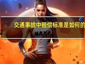 交通事故中赔偿标准是如何的