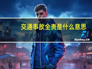 交通事故全责是什么意思