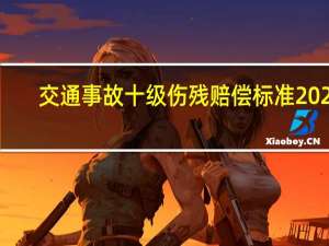 交通事故十级伤残赔偿标准2022