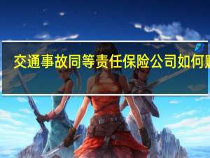 交通事故同等责任保险公司如何赔偿
