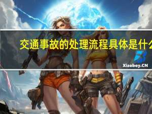 交通事故的处理流程具体是什么