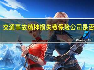 交通事故精神损失费保险公司是否会赔