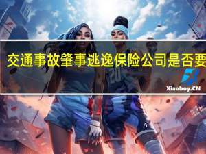 交通事故肇事逃逸保险公司是否要赔偿