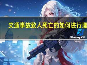 交通事故致人死亡的如何进行理赔，都有什么标准