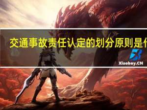 交通事故责任认定的划分原则是什么