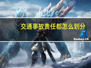 交通事故责任都怎么划分