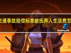 交通事故赔偿标准被抚养人生活费怎么计算