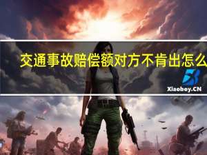 交通事故赔偿额对方不肯出怎么办