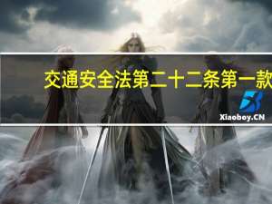 交通安全法第二十二条第一款