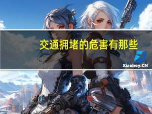 交通拥堵的危害有那些
