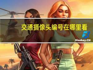 交通摄像头编号在哪里看