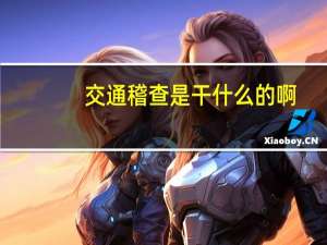 交通稽查是干什么的啊