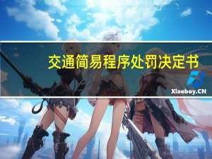 交通简易程序处罚决定书
