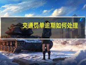 交通罚单逾期如何处理