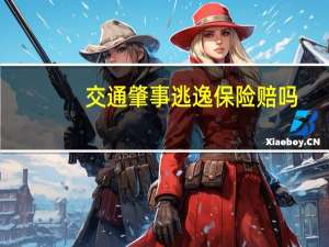 交通肇事逃逸保险赔吗