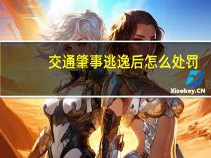 交通肇事逃逸后怎么处罚
