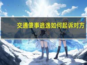 交通肇事逃逸如何起诉对方
